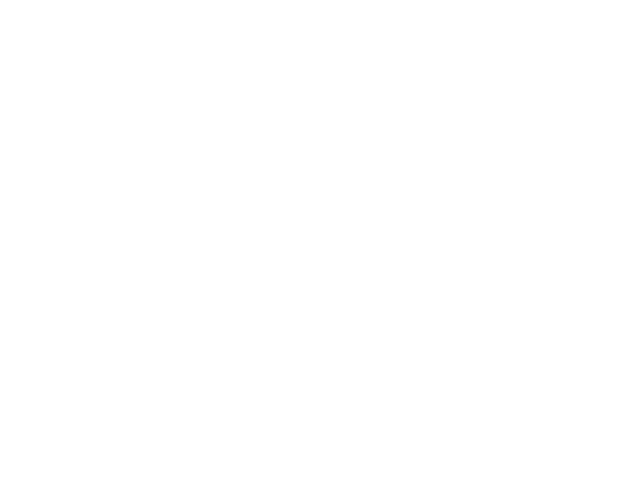 Tarsier Studios logo